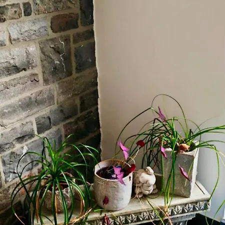 La Petite De Graux Bed & Breakfast *