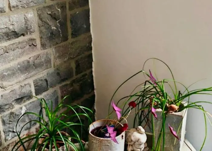 La Petite De Graux Bed & Breakfast *